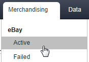 eBay4